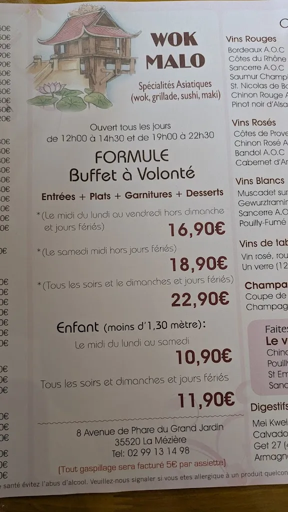 Menu_Wok Malo_Mézière_image_2