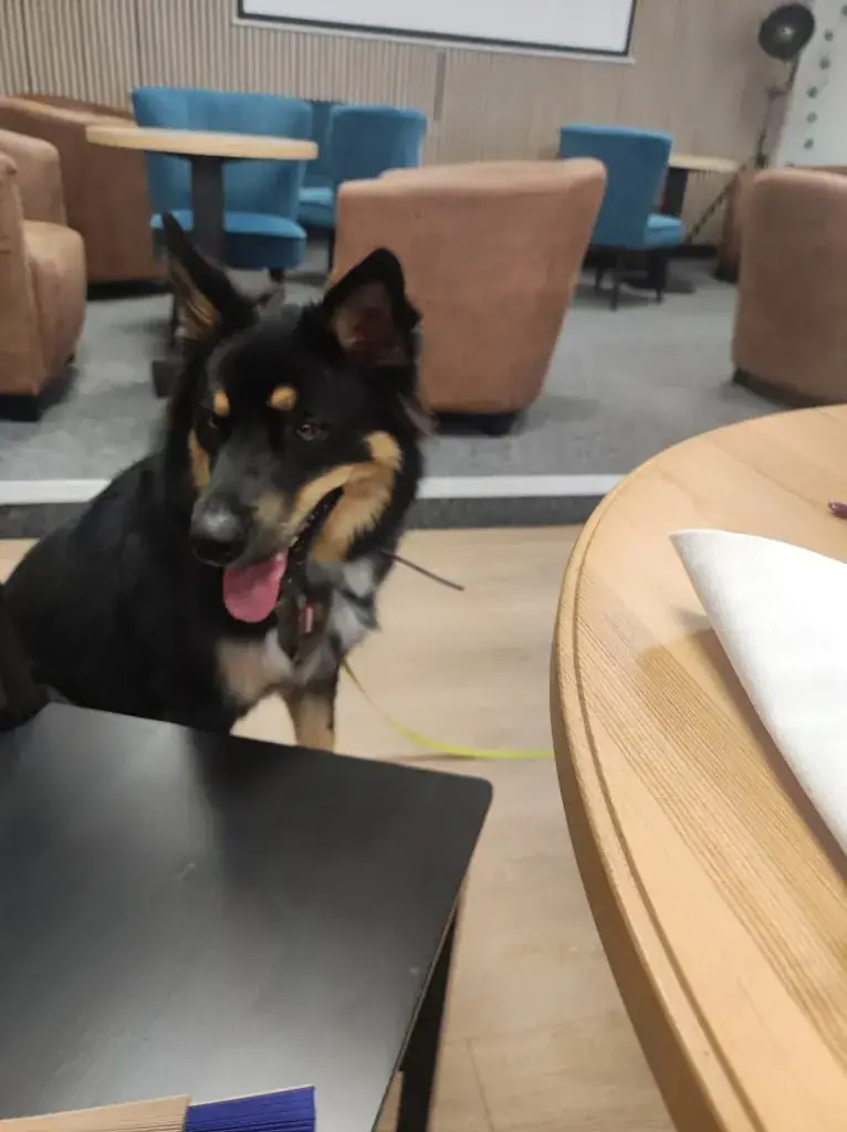 The Toucan Café_Gacilly_slider_image_3