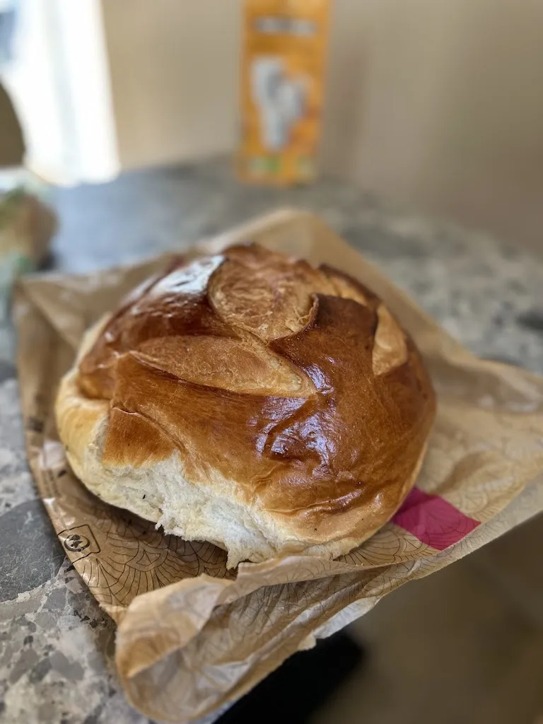 Fiona Fsh-Lvllt_Maison Le Borgne_Kerlouan_review