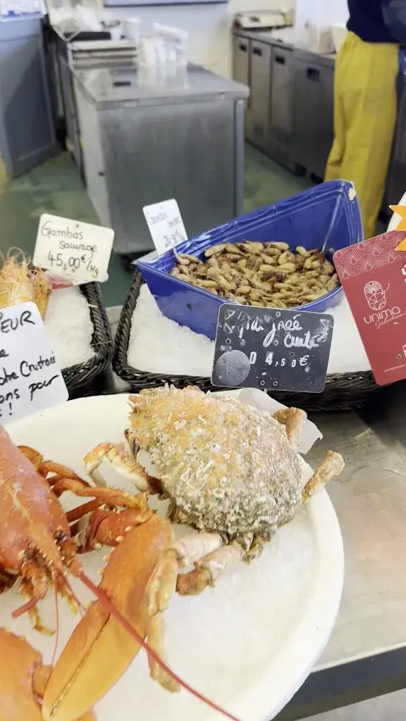 Les Viviers Du Ruault_Sarzeau_slider_image_2