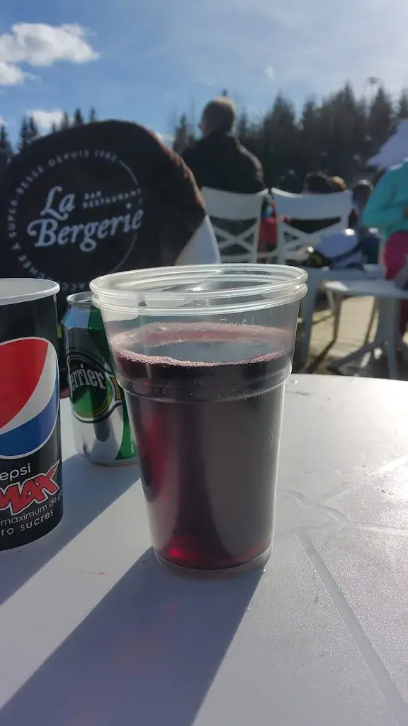 Menu_Restaurant la Bergerie Super Besse_Besse-et-Saint-Anastaise_image_7