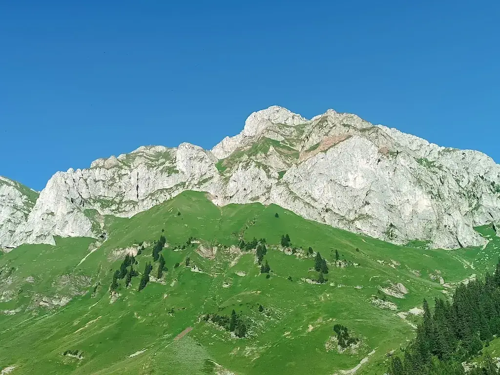 Alpage de Bise ristorante a Chapelle-d'Abondance