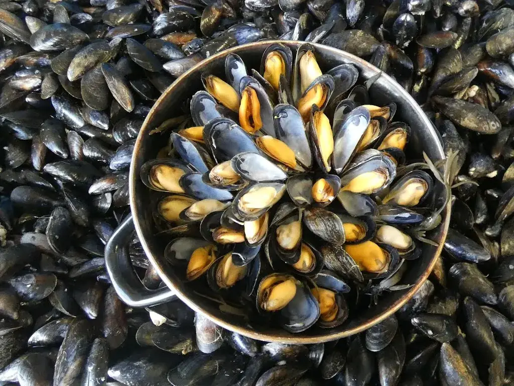 Menu_Gouguec_Larmor-Baden_imagen_6