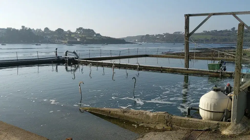 Prat ar coum - Madec Yvon_Lannilis_slider_image_2