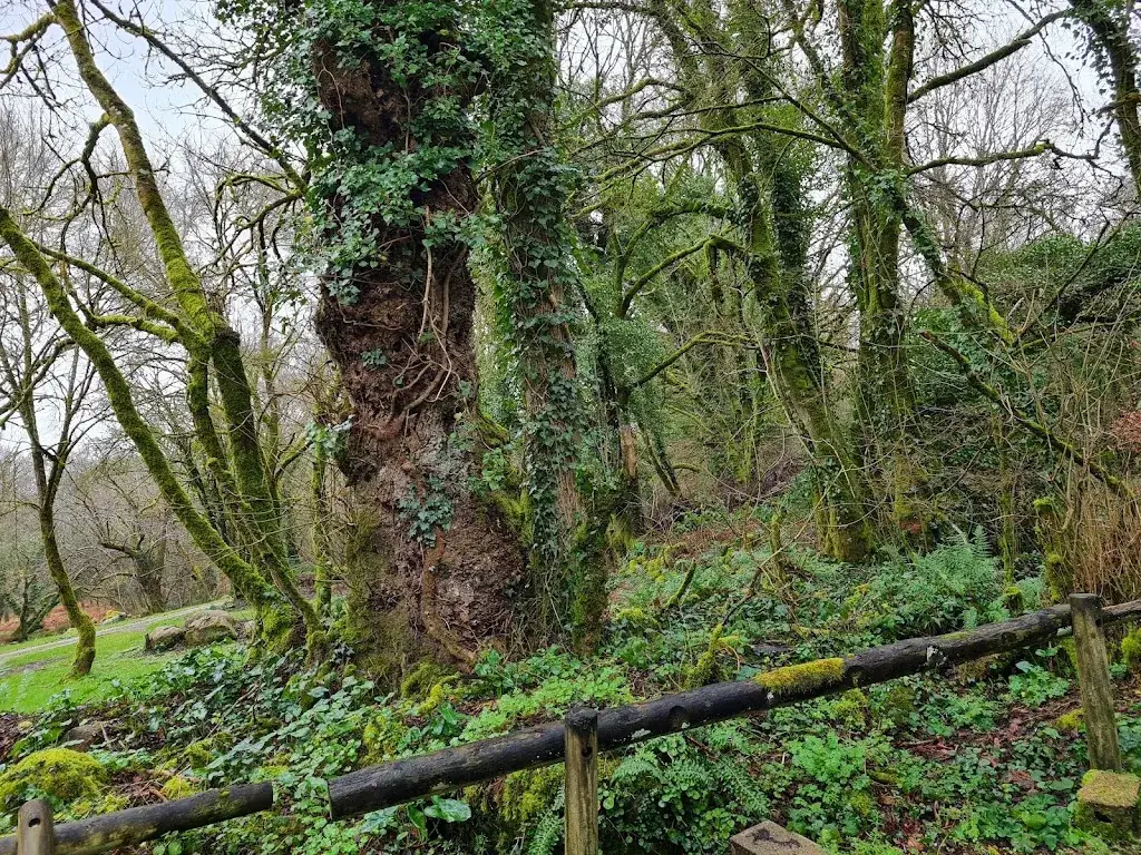 Kim Gaarsdahl_Au Pied de Sainte-Barbe_Faouët_review