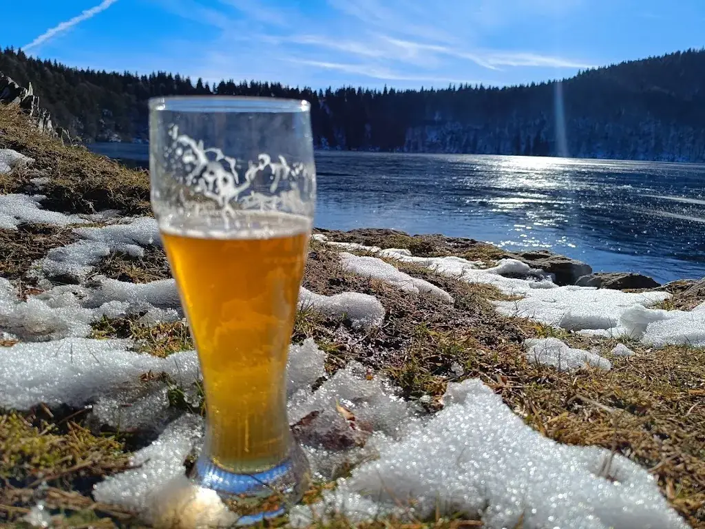 Hôtel-Restaurant Le Lac Pavin_Besse-et-Saint-Anastaise_slider_image_2