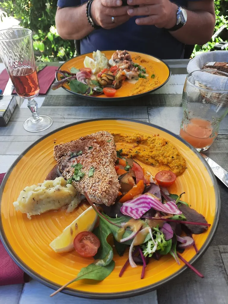 Menu_1884_Bono_immagine_6