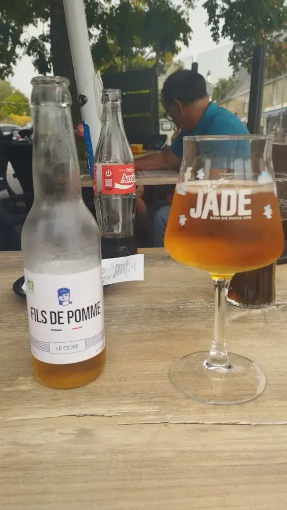 C Raja_A_Bono_review