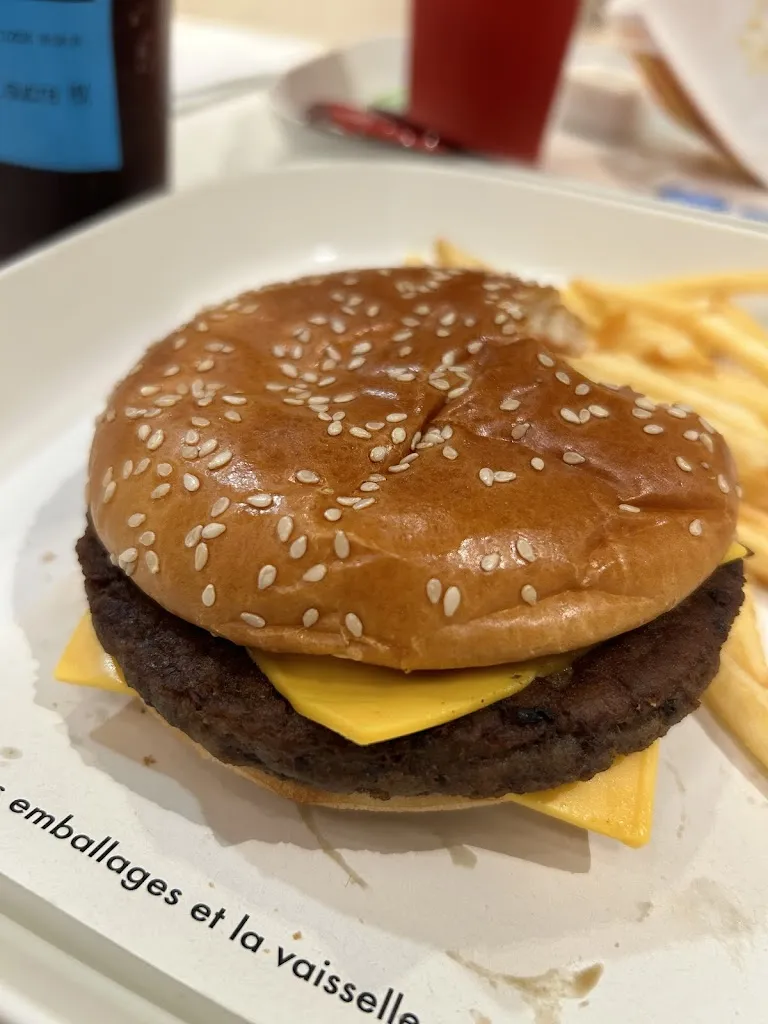 TheVinke69 Thevinke_McDonald's_Relecq-Kerhuon_review