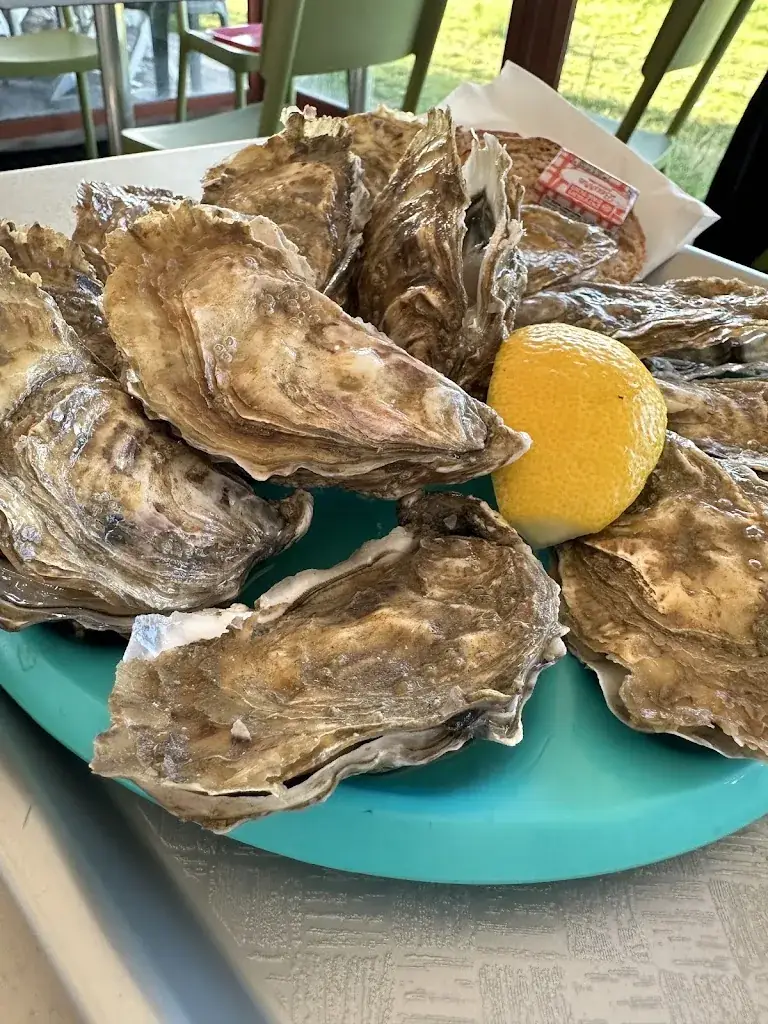 What you need to know!_Oysters and mussels Jean-Luc Tonneau_Vivier-sur-Mer_review