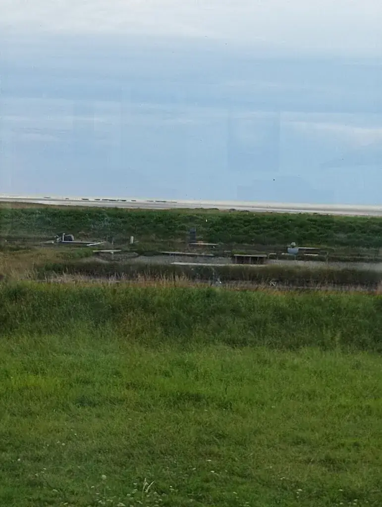Oysters and mussels Jean-Luc Tonneau_Vivier-sur-Mer_slider_image_3