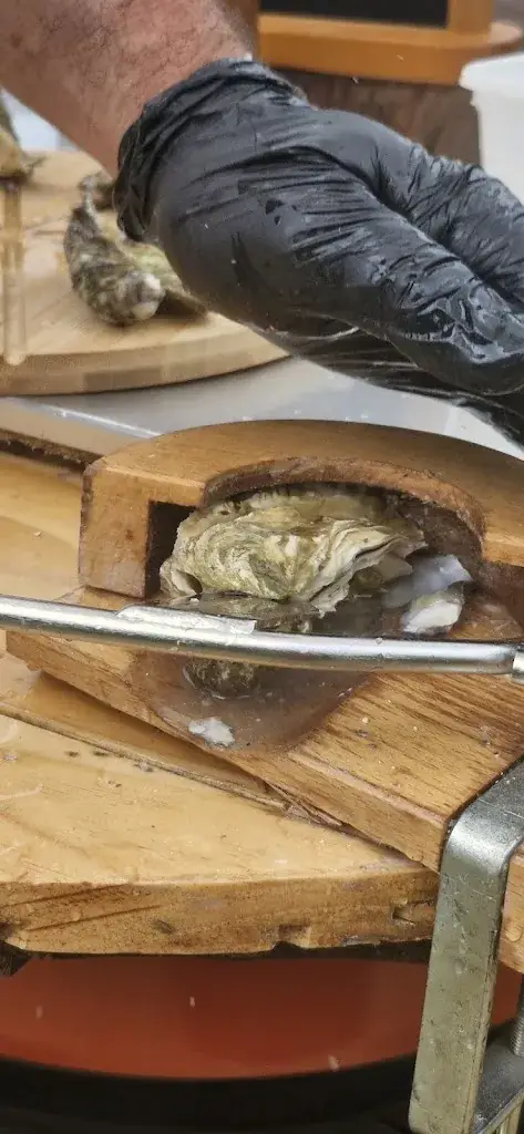 Mathieu Sarrazin_La Solution Traiteur BZH_Trédrez-Locquémeau_review