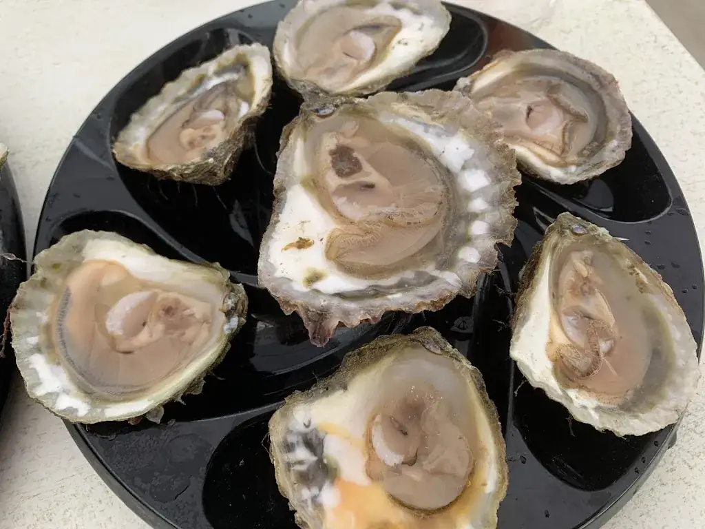 Locations Michèle Charrier_Huitres Damerose_Locoal-Mendon_review