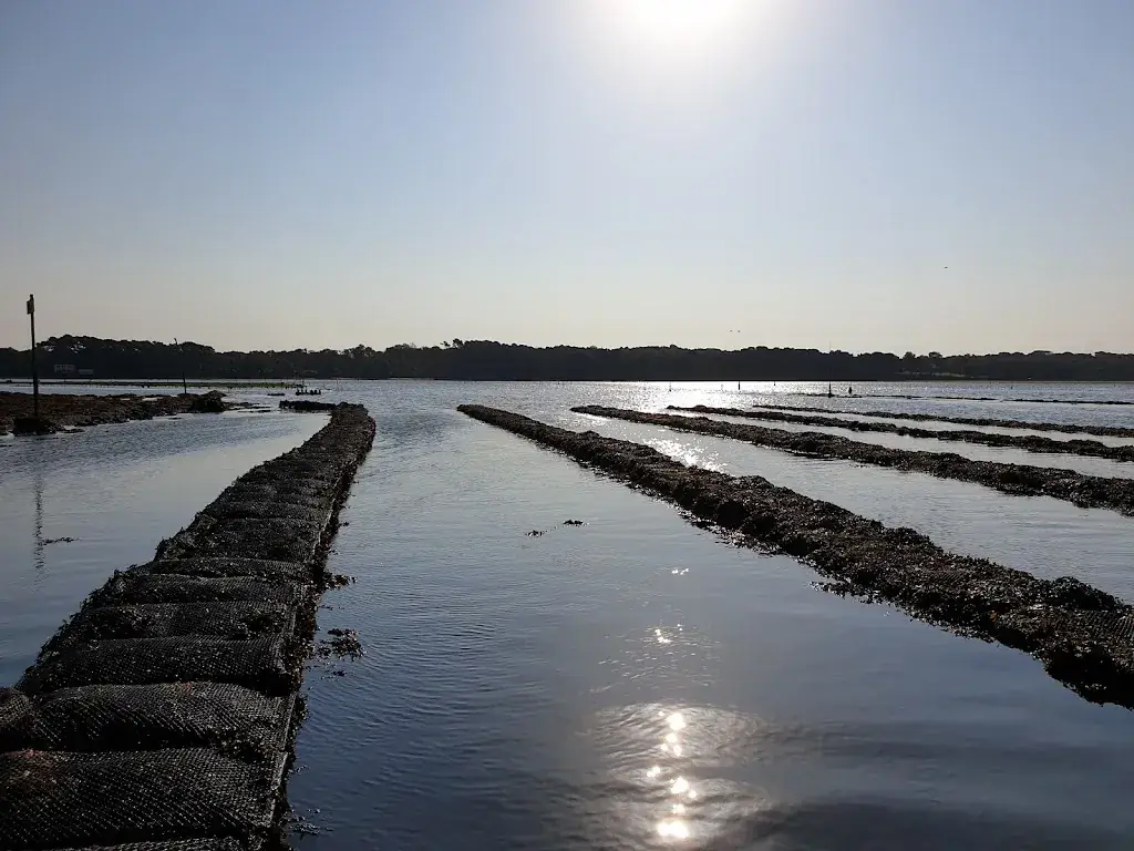 Huitres Damerose restaurant in Locoal-Mendon