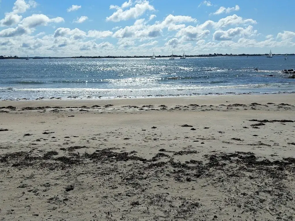 Roger Glanzmann_La Foliiiiiiie Douce_Larmor-Plage_review