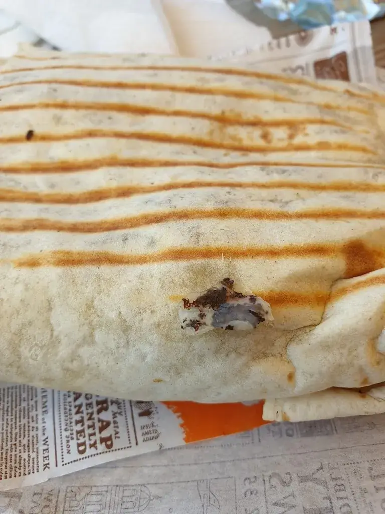 Marina Hoffmann_O ty breizh_Larmor-Plage_recensione