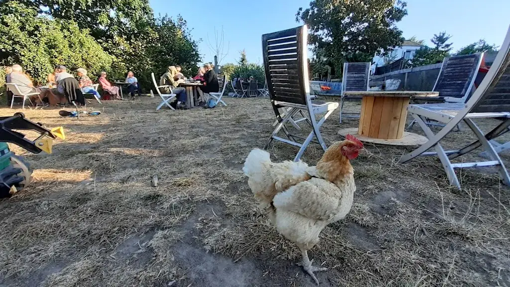 Rem Khaibrakhmanov_Brasserie Artisanale L'ETRILLE et Restaurant_Locmariaquer_review