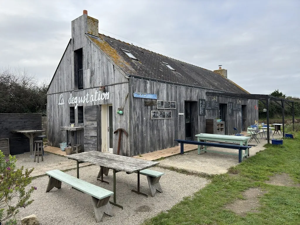 les huitres d' Evariste_Locmariaquer_slider_image_3