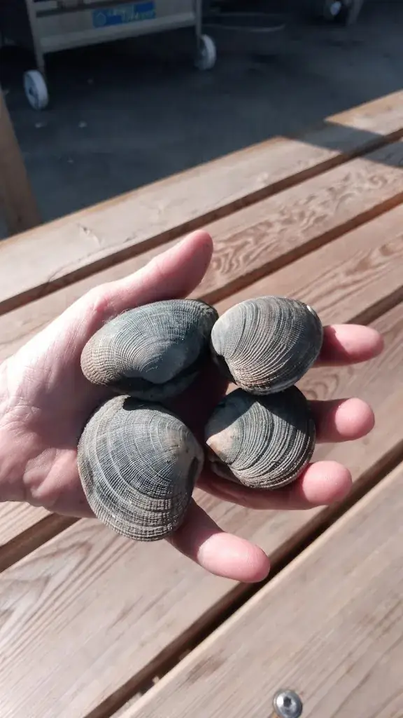 Menu_Le Gros Eric - les huitres de l ile de seniz_Locmariaquer_image_5