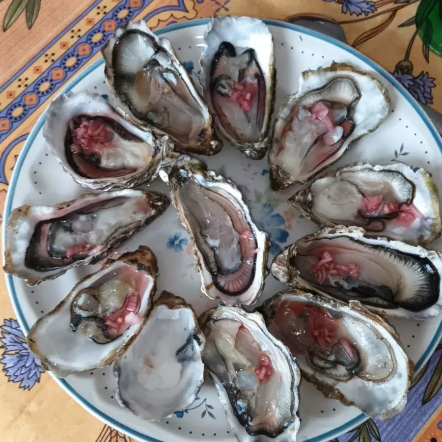 Menu_Le Gros Eric - les huitres de l ile de seniz_Locmariaquer_image_7