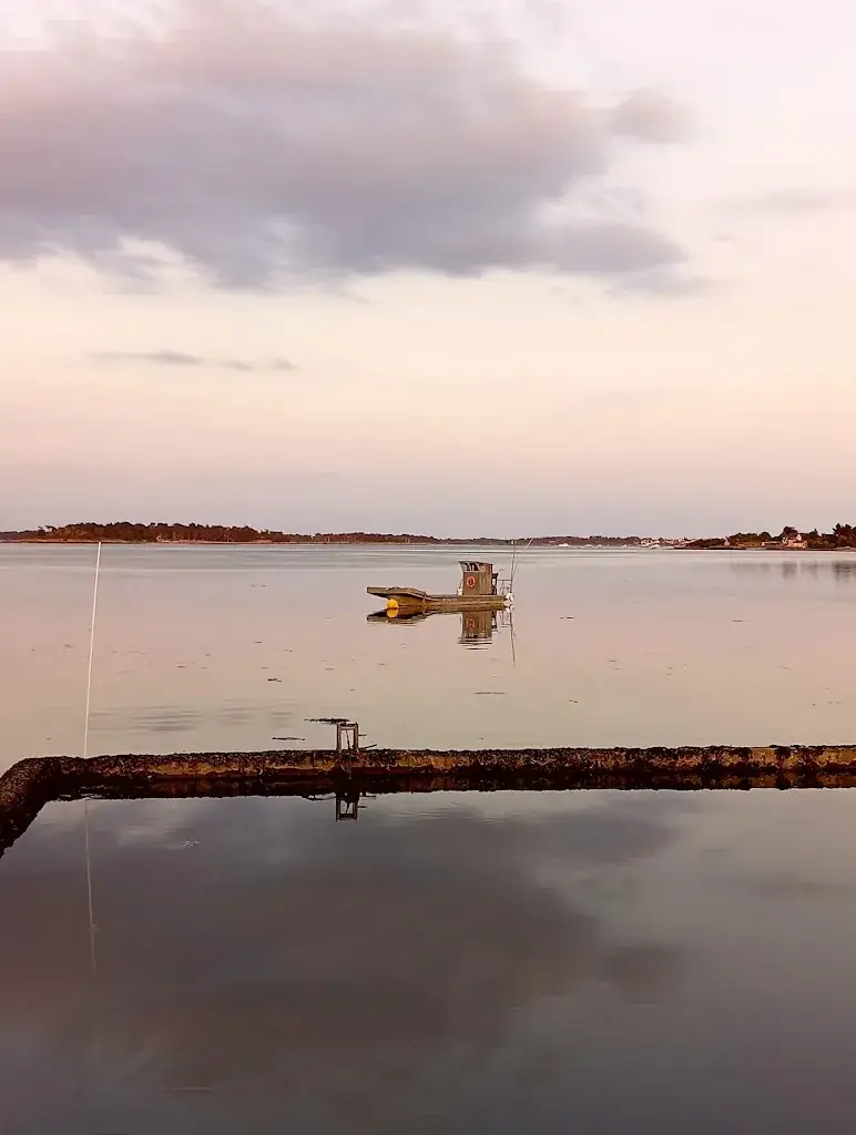 Karine Mc_Le Gros Eric - les huitres de l ile de seniz_Locmariaquer_review