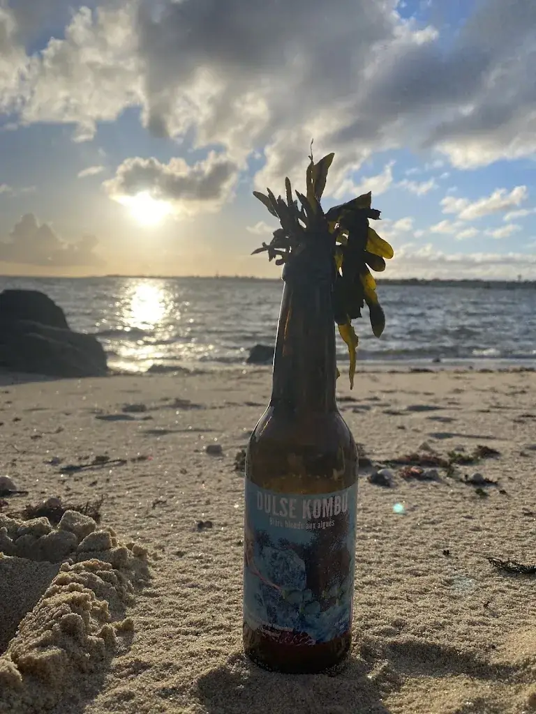 Pierre-frédéric Le Carrer_Brasserie artisanale Yermat bier_Locmiquélic_avis