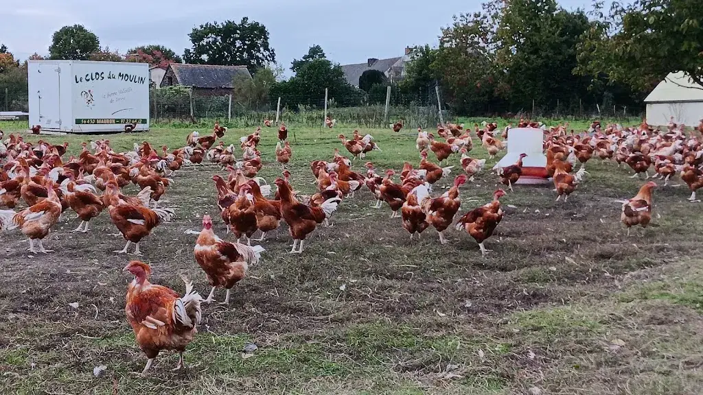 Le Clos du Moulin_Mauron_slider_image_2