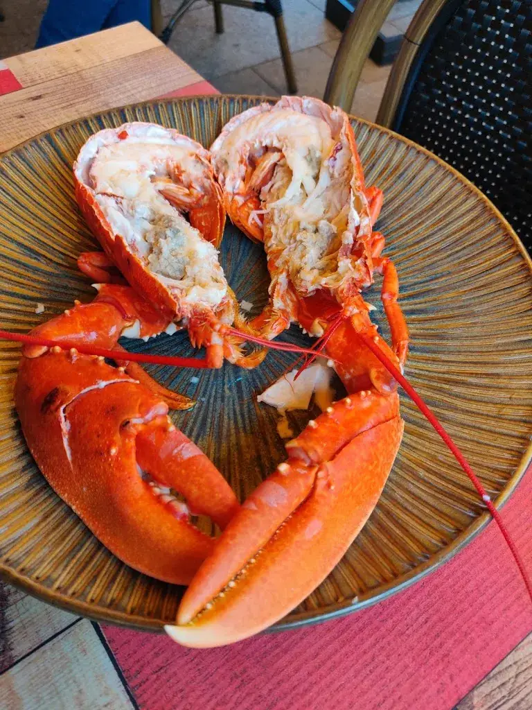 Menu_L' Islandais - Restaurant_Paimpol_immagine_9