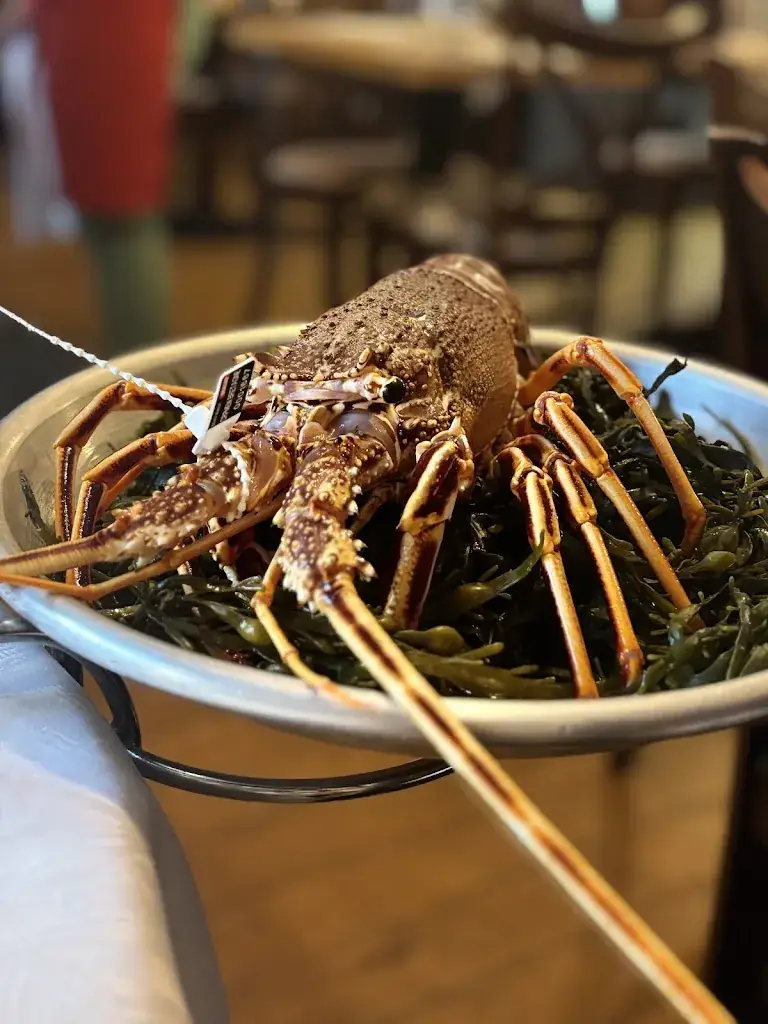 Caroline Rabe_Le Balthazar_Paimpol_review