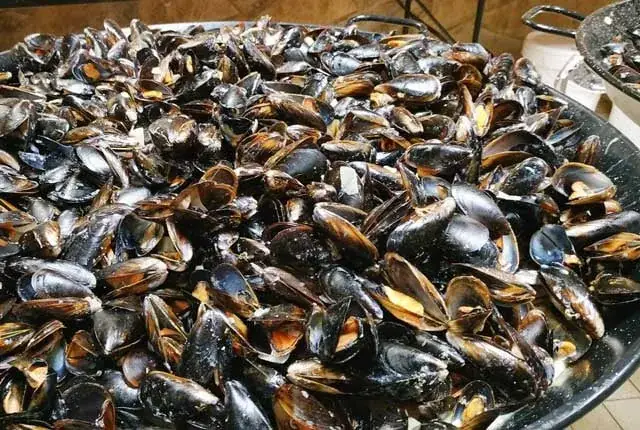 Menu_Bar Brasserie restaurant Bizien_Minihy-Tréguier_immagine_3