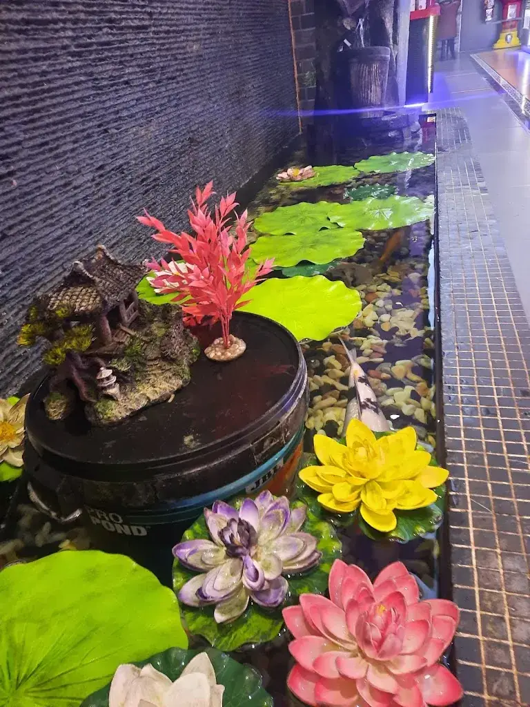 Angelica Pantera_L'Aigle Céleste_Vannes_review