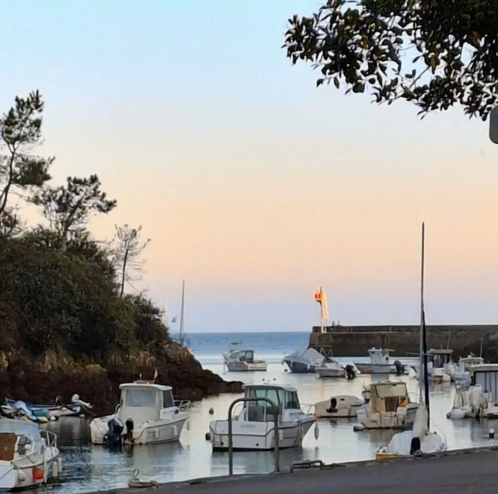 Les Penn Sardines_Moëlan-sur-Mer_slider_image_3
