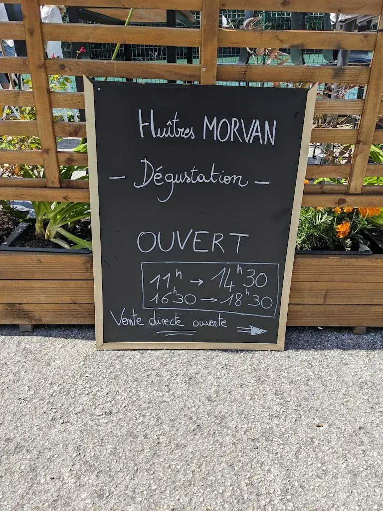 Torsten Spreer_Huitres Morvan 🦪🐚_Moëlan-sur-Mer_review