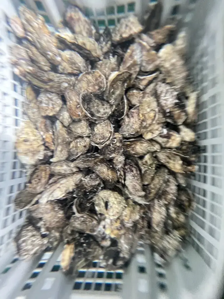 Menu_Chez Jacky_Riec-sur-Bélon_image_5