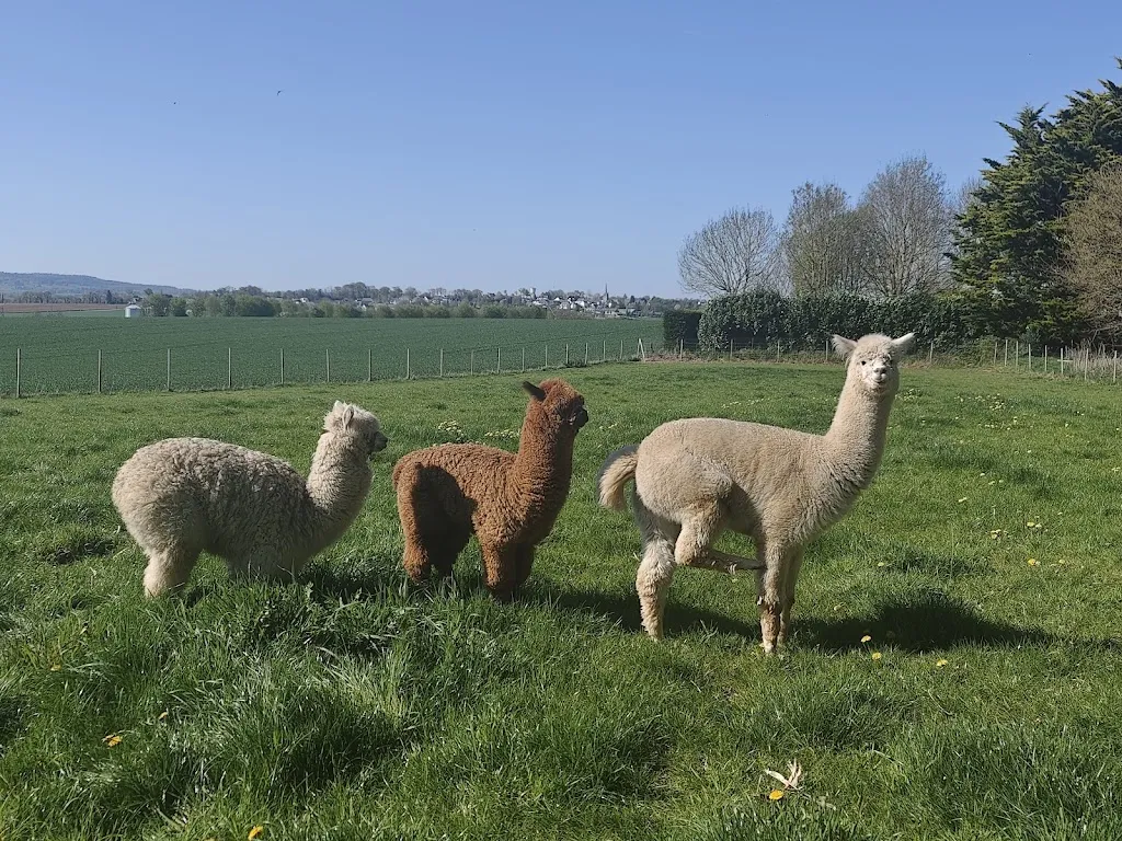 Yue Meng_Le clos luly_Neulliac_review