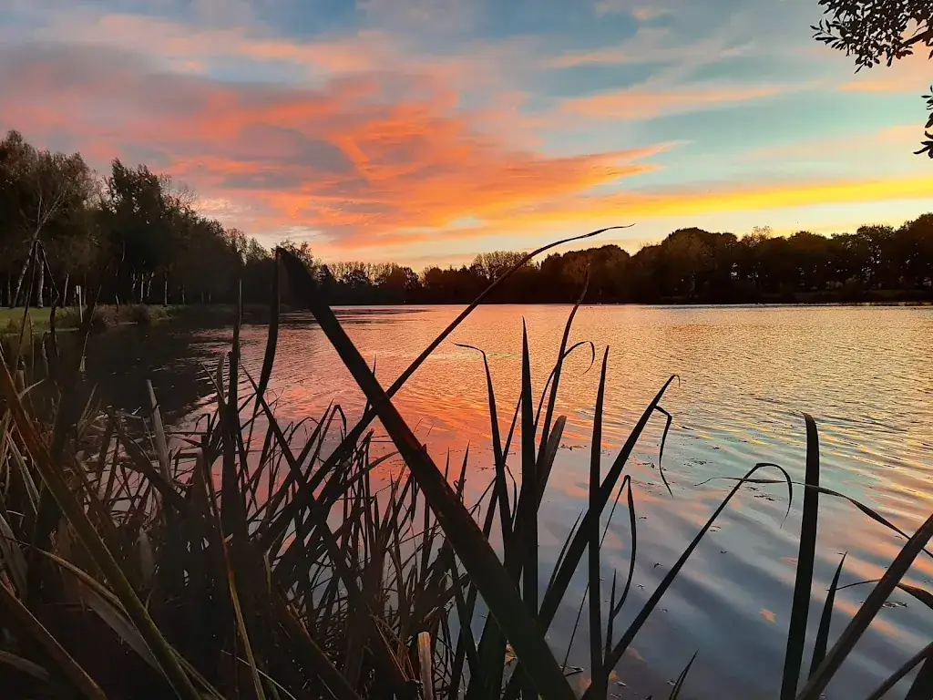 Le Cerisier restaurant in Noyal-Pontivy