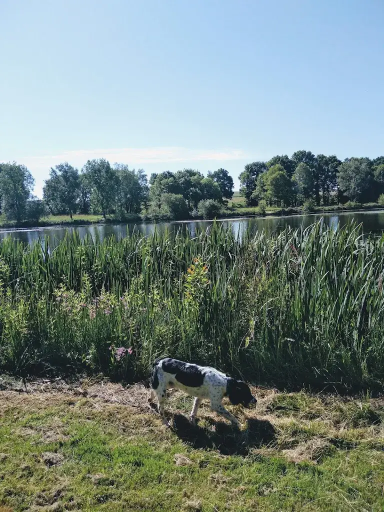 Le Cerisier_Noyal-Pontivy_slider_image_3