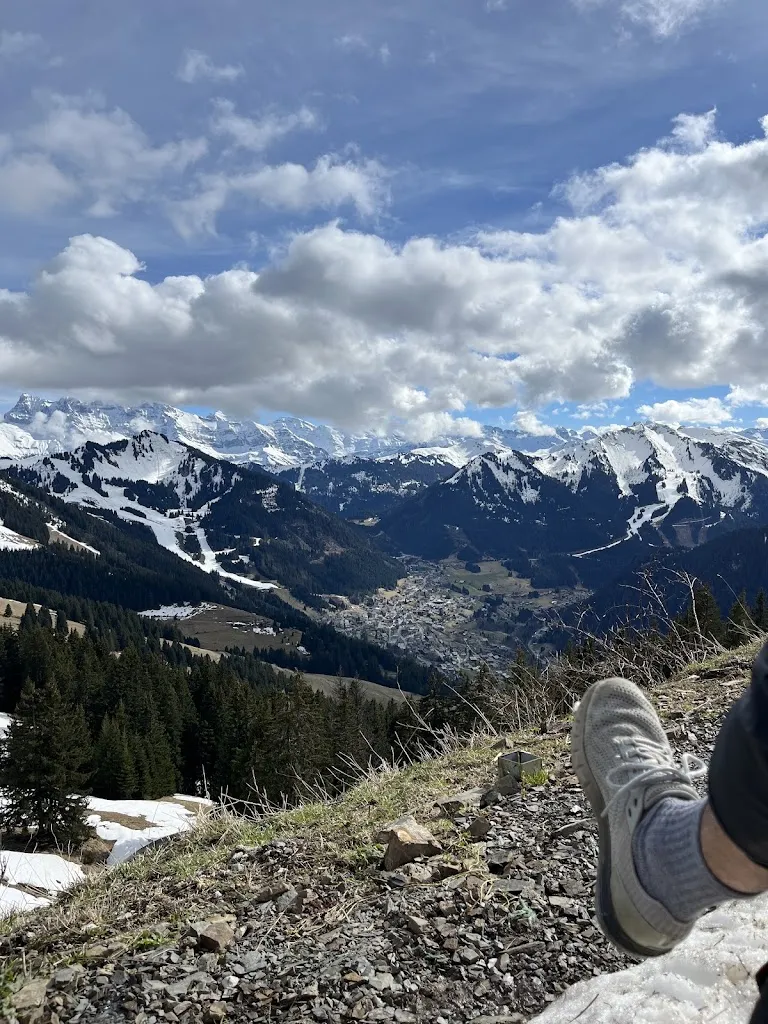 Jean-Baptiste lowes_L'alpage du Mouët_Chapelle-d'Abondance_review
