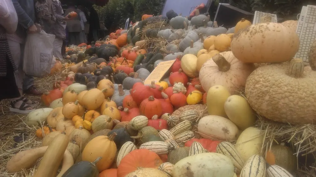 Bar des Sports - Restaurant Pennec_Pédernec_slider_image_2