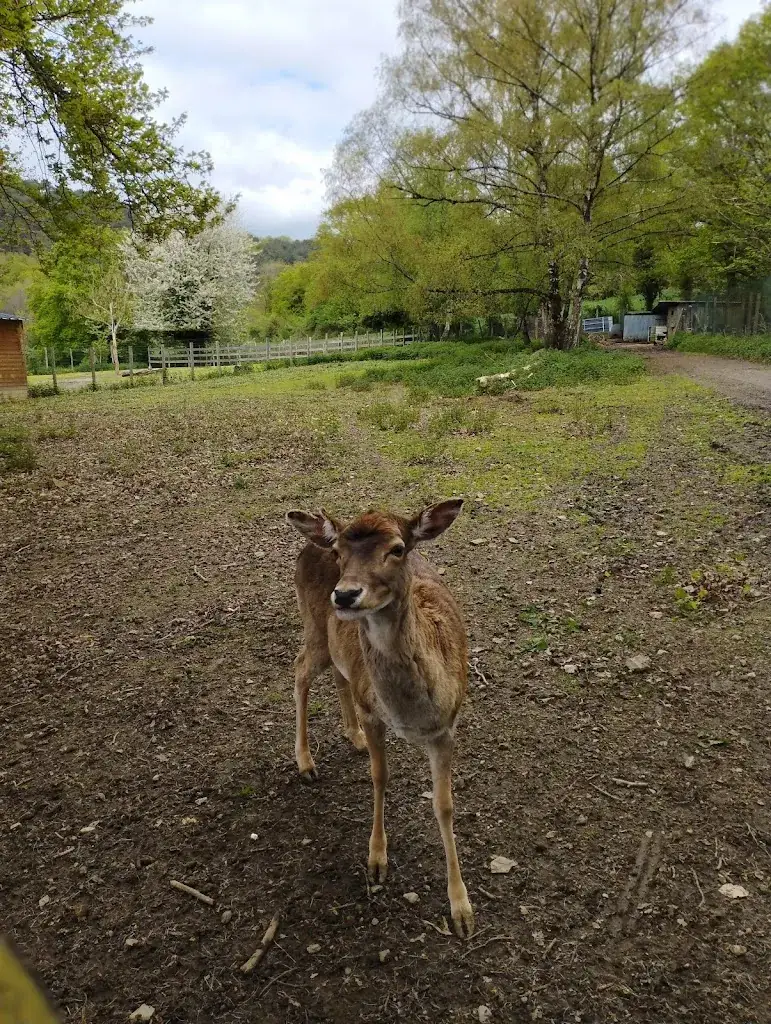 La Halte Du Volcan_Pléchâtel_slider_image_1