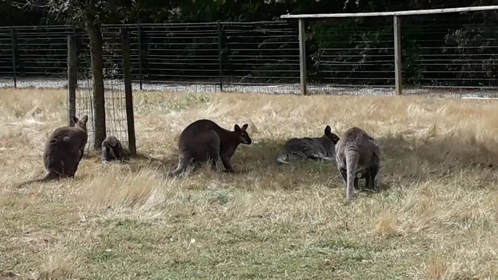 La Halte Du Volcan_Pléchâtel_slider_image_2