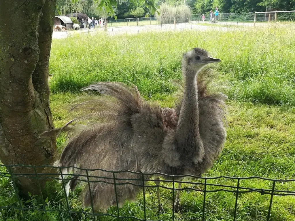 La Halte Du Volcan_Pléchâtel_slider_image_3