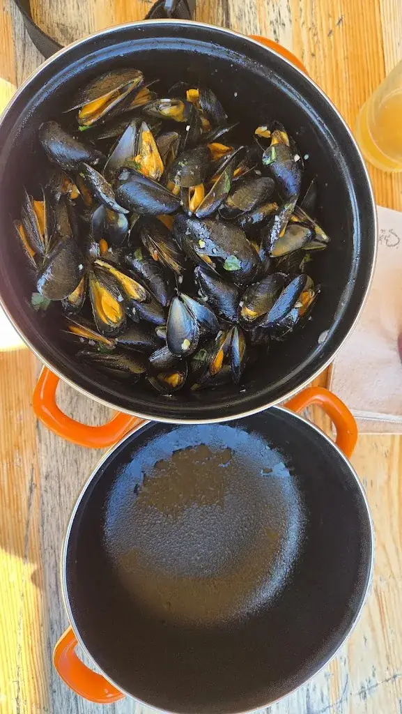 André Kröber_Bicoque - Cantine Estivale_Lamballe-Armor_review