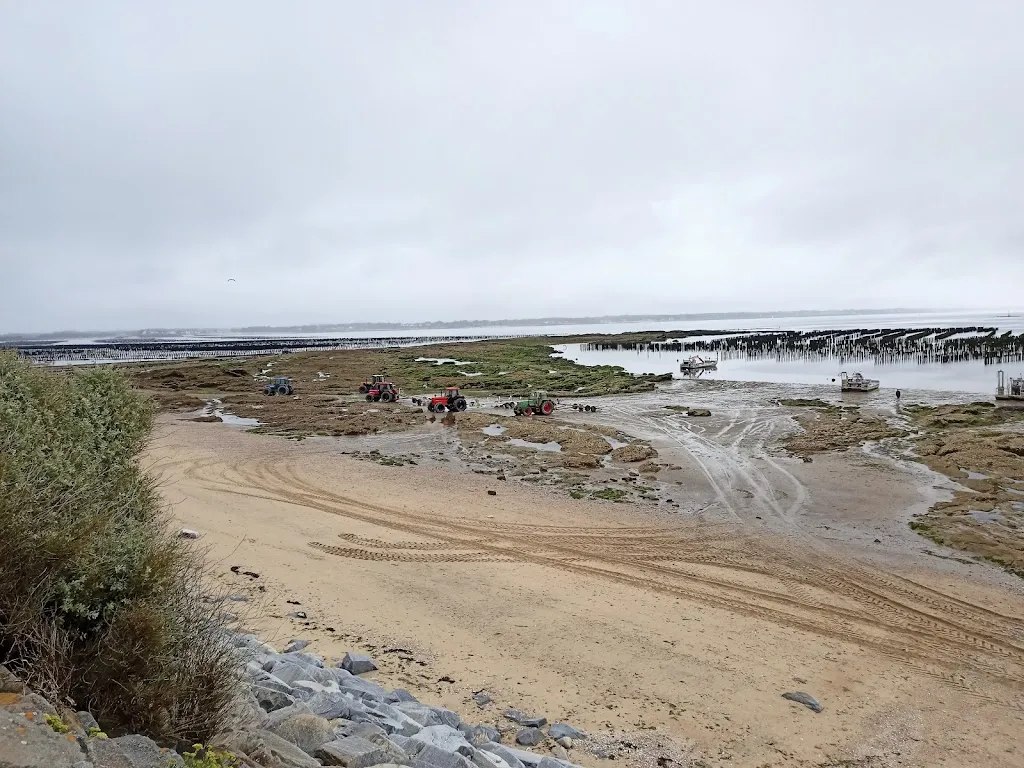 Vince Midmore_Auberge du Gros Bill_Pénestin_Bewertung