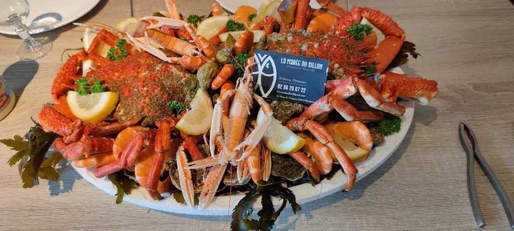 Cedric D_LA MARÉE DU SILLON_Pleubian_review