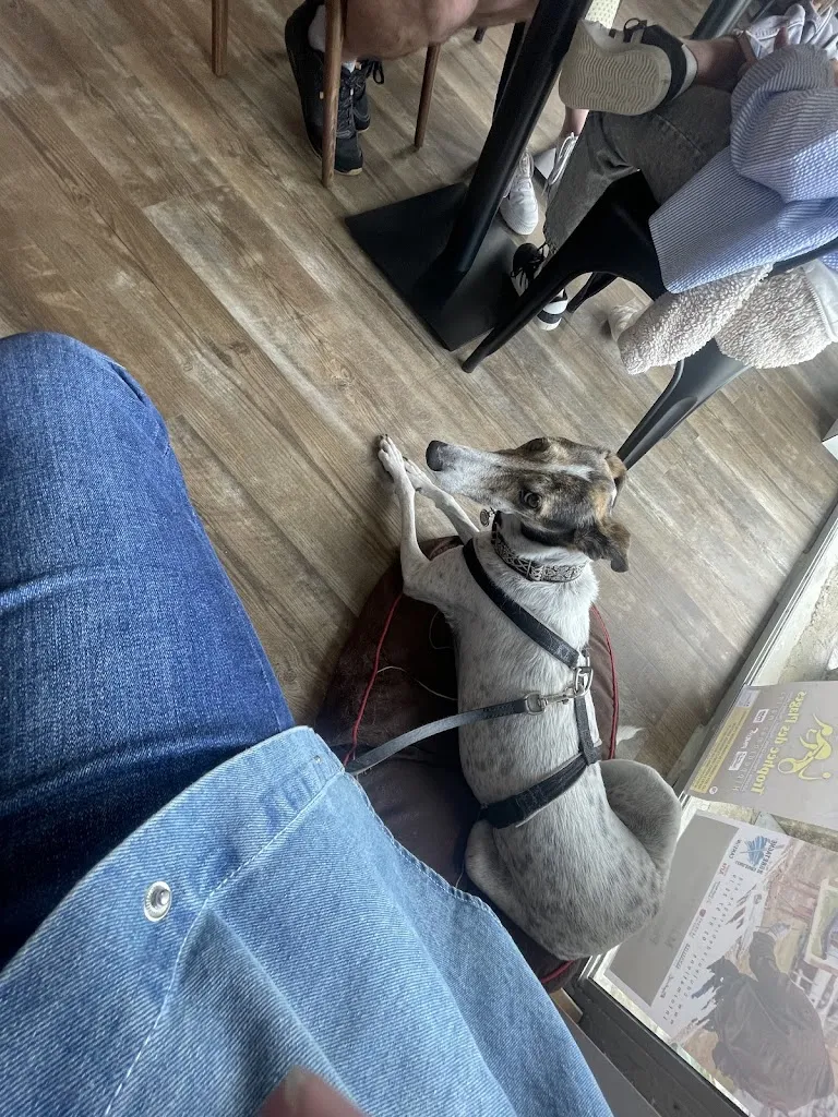 Le P'tit Futé “Pat-22”_KAIA_Plestin-les-Grèves_review