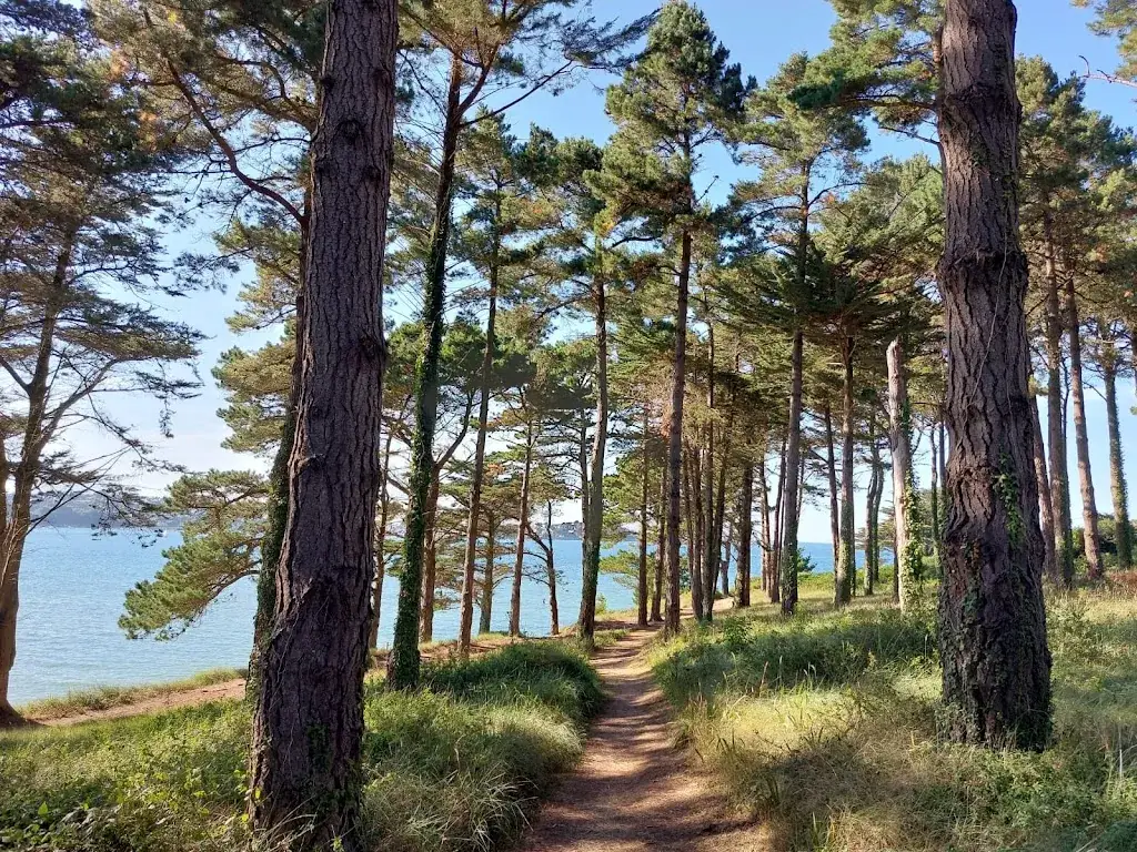 James Waters_Le Petit Bain_Plestin-les-Grèves_review