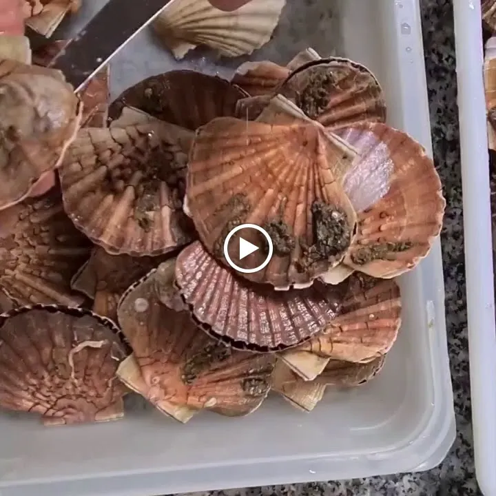 AVEL ZO_Plestin-les-Grèves_slider_image_2