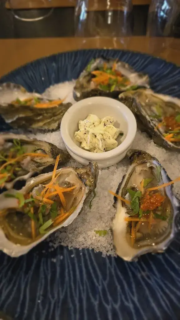 Paul Scott_latitude 48_Perros-Guirec_review