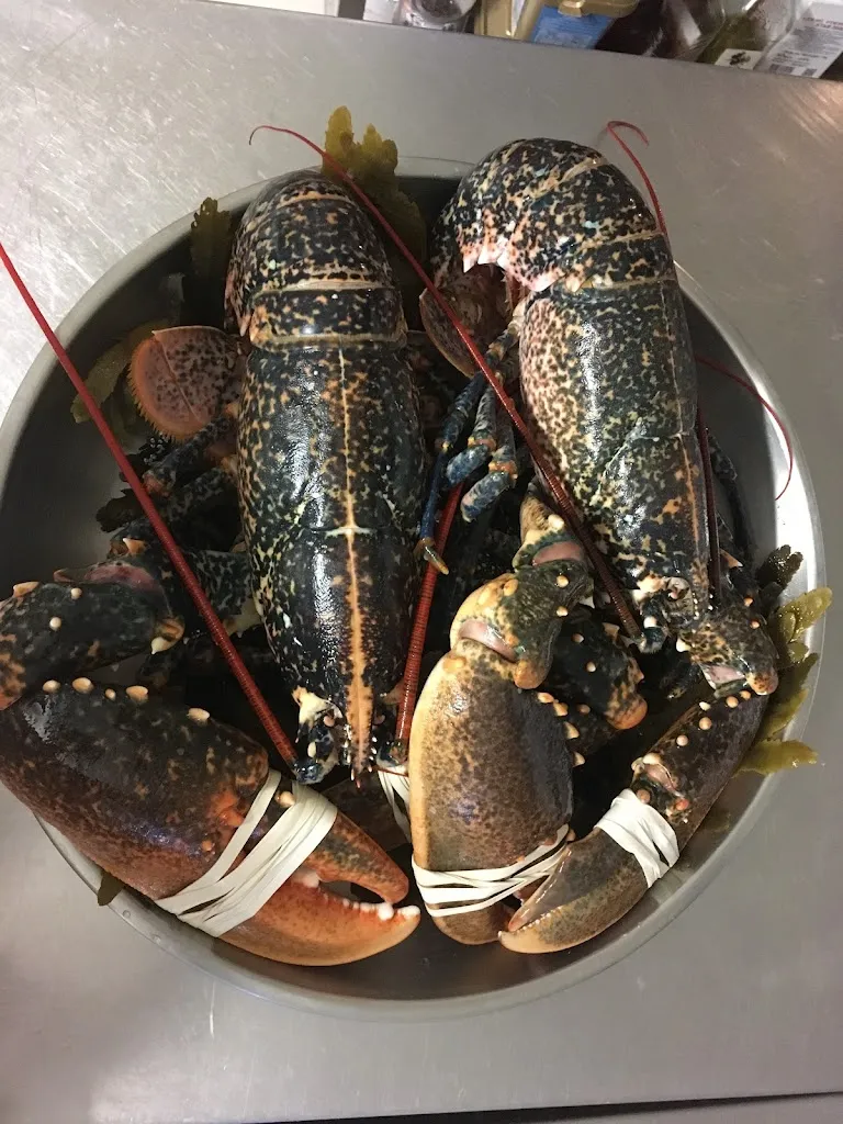 Restaurant Le Macareux_Pleumeur-Bodou_slider_image_2